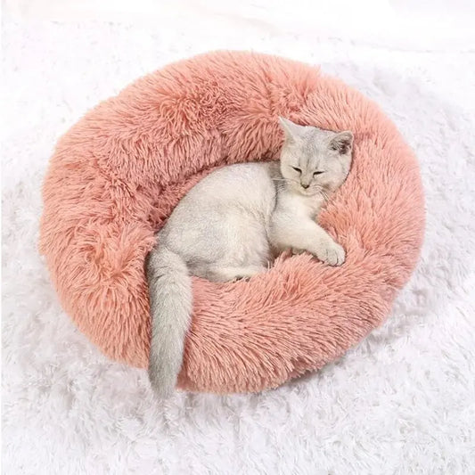 Therapeutic Pet Bed